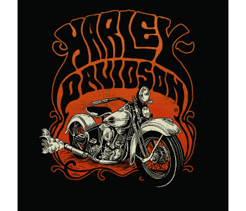 vintage Gasoline Bandit